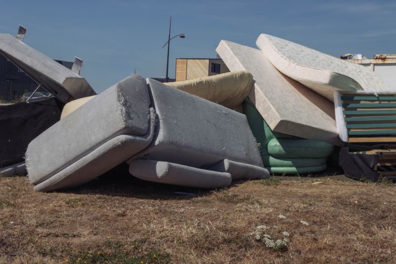Sofa Bed Removal in Madison, WI